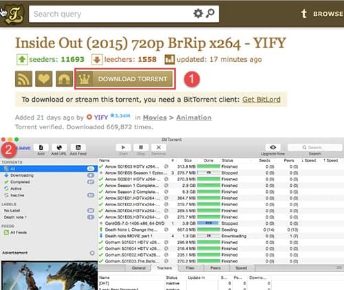 How To Download Torrent On Mac For Free